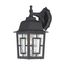 Banyan 1 Light 12" Outdoor Wall w/ Clear Water Glass Color retail packaging