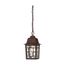 Banyan 1 Light 11" Outdoor Hanging w/ Clear Water Glass Color retail packaging