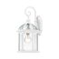 Boxwood 1 Light 15" Outdoor Wall w/ Clear Seed Glass Color retail packaging