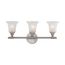 Surrey 3 Light Vanity Fixture w/ Frosted Glass