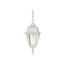 Briton 1 Light 10" Hanging Lantern w/ Clear Glass (Pack of 2)