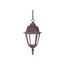 Briton 1 Light 10" Hanging Lantern w/ Clear Glass