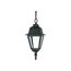 Briton 1 Light 10" Hanging Lantern w/ Clear Glass