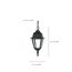 Briton 1 Light 10" Hanging Lantern w/ Clear Glass