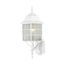 Adams 1 Light 18" Outdoor Wall w/ Frosted Glass