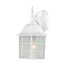 Adams 1 Light 14" Outdoor Wall w/ Frosted Glass