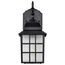 Adams 1 Light 14" Outdoor Wall w/ Frosted Glass