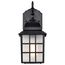 Adams 1 Light 14" Outdoor Wall w/ Frosted Glass