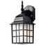 Adams 1 Light 14" Outdoor Wall w/ Frosted Glass