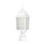 Adams 1 Light 17" Outdoor Post w/ Frosted Glass