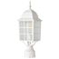 Adams 1 Light 17" Outdoor Post w/ Frosted Glass