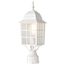 Adams 1 Light 17" Outdoor Post w/ Frosted Glass