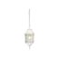 Adams 1 Light 16" Outdoor Hanging w/ Frosted Glass