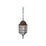 Adams 1 Light 16" Outdoor Hanging w/ Frosted Glass