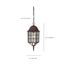Adams 1 Light 16" Outdoor Hanging w/ Frosted Glass