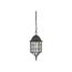 Adams 1 Light 16" Outdoor Hanging w/ Frosted Glass