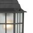 Adams 1 Light 16" Outdoor Hanging w/ Frosted Glass