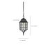 Adams 1 Light 16" Outdoor Hanging w/ Frosted Glass