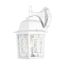 Banyan 1 Light 12" Outdoor Wall w/ Clear Water Glass