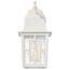 Banyan 1 Light 12" Outdoor Wall w/ Clear Water Glass