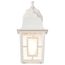 Banyan 1 Light 12" Outdoor Wall w/ Clear Water Glass