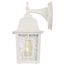 Banyan 1 Light 12" Outdoor Wall w/ Clear Water Glass