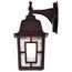Banyan 1 Light 12" Outdoor Wall w/ Clear Water Glass