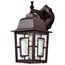 Banyan 1 Light 12" Outdoor Wall w/ Clear Water Glass