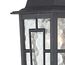 Banyan 1 Light 12" Outdoor Wall w/ Clear Water Glass