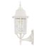 Banyan 1 Light 17" Outdoor Wall w/ Clear Water Glass White Finish