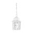 Banyan 1 Light 11" Outdoor Hanging w/ Clear Water Glass