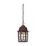 Banyan 1 Light 11" Outdoor Hanging w/ Clear Water Glass
