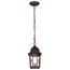 Banyan 1 Light 11" Outdoor Hanging w/ Clear Water Glass