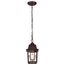 Banyan 1 Light 11" Outdoor Hanging w/ Clear Water Glass
