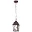 Banyan 1 Light 11" Outdoor Hanging w/ Clear Water Glass