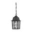 Banyan 1 Light 11" Outdoor Hanging w/ Clear Water Glass