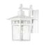 Cove Neck 1 Light 12" Outdoor Lantern w/ Clear Seed Glass
