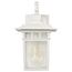 Cove Neck 1 Light 12" Outdoor Lantern w/ Clear Seed Glass