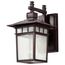 Cove Neck 1 Light 12" Outdoor Lantern w/ Clear Seed Glass