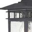 Cove Neck 1 Light 12" Outdoor Lantern w/ Clear Seed Glass