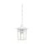 Cove Neck 1 Light 12" Outdoor Hang w/ Clear Seed Glass