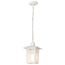 Cove Neck 1 Light 12" Outdoor Hang w/ Clear Seed Glass