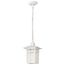 Cove Neck 1 Light 12" Outdoor Hang w/ Clear Seed Glass