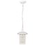 Cove Neck 1 Light 12" Outdoor Hang w/ Clear Seed Glass