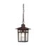 Cove Neck 1 Light 12" Outdoor Hang w/ Clear Seed Glass