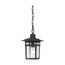 Cove Neck 1 Light 12" Outdoor Hang w/ Clear Seed Glass