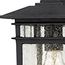 Cove Neck 1 Light 12" Outdoor Hang w/ Clear Seed Glass