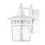 Cove Neck 1 Light 14" Outdoor Lantern w/ Clear Seed Glass