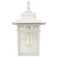 Cove Neck 1 Light 14" Outdoor Lantern w/ Clear Seed Glass