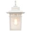 Cove Neck 1 Light 14" Outdoor Lantern w/ Clear Seed Glass